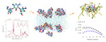 How kanamycin A interacts with bacterial and mammalian mimetic membranes