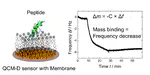 The Quartz Crystal Microbalance with Dissipation Monitoring (QCM-D) Technique Applied to the Study of Membrane-Active Peptides