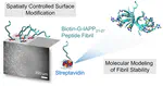 Growth, Polymorphism, and Spatially Controlled Surface Immobilization of Biotinylated Variants of IAPP 21–27 Fibrils