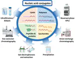 Functionalizing Nucleic Acids: Synthesis and Purification Strategies for Bioconjugates as Biomaterials