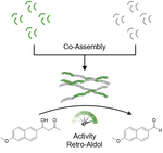Co‐Assemblies Regulate the Catalytic Activity of Peptide Fibrils