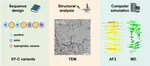 Design of the Hydrophobic Core of Self-Assembling Peptide Fibrils for Enhanced Neural Regeneration