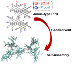 Self‐Assembly of Amphiphilic Polyphenylene Dendrimers with Different Surface Functionalization in Solvent/Non‐Solvent Mixtures