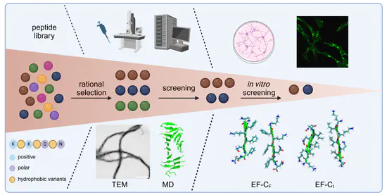 Design of Functional Bionanomaterials