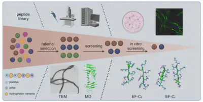 Sequence-Guided Design