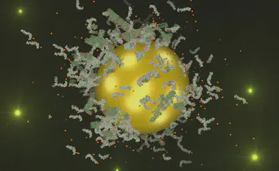 Interface-Controlled Peptide Self-Assembly